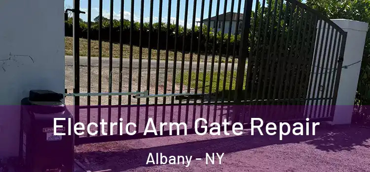  Electric Arm Gate Repair Albany - NY