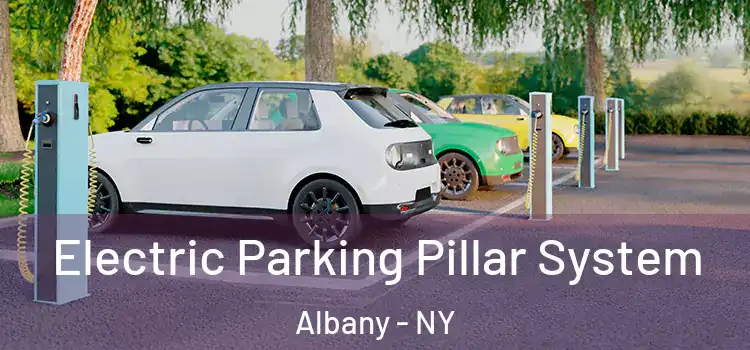  Electric Parking Pillar System Albany - NY