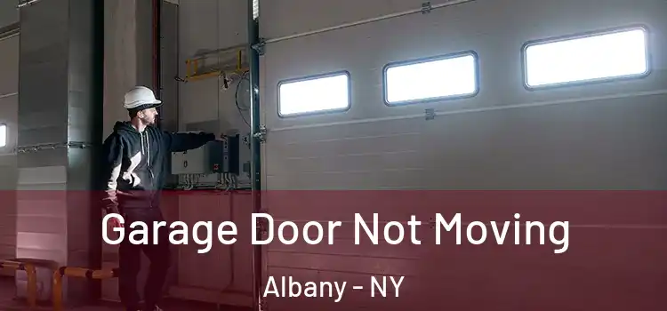  Garage Door Not Moving Albany - NY