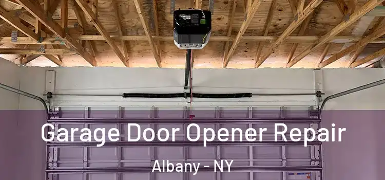  Garage Door Opener Repair Albany - NY