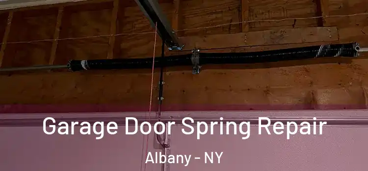  Garage Door Spring Repair Albany - NY