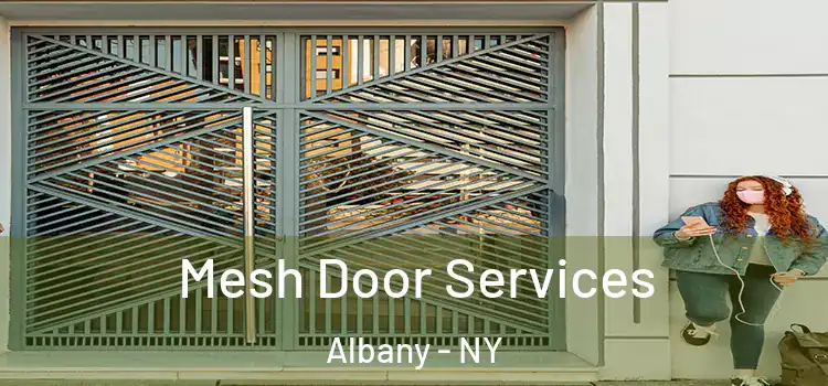  Mesh Door Services Albany - NY