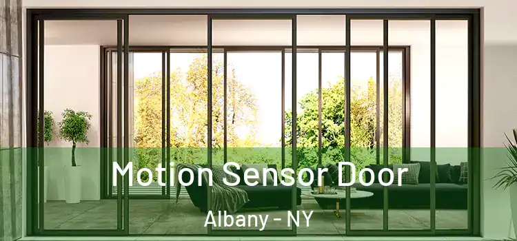  Motion Sensor Door Albany - NY